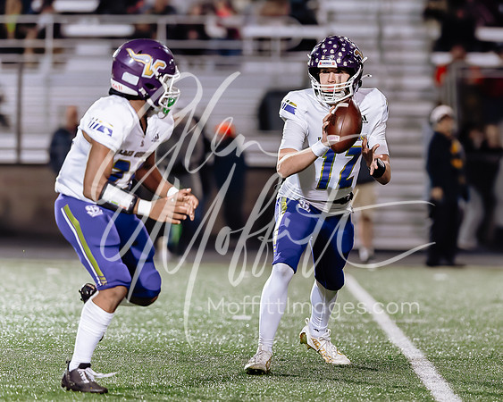 2024-11-01 LS at arlington var FB_1036-CR3