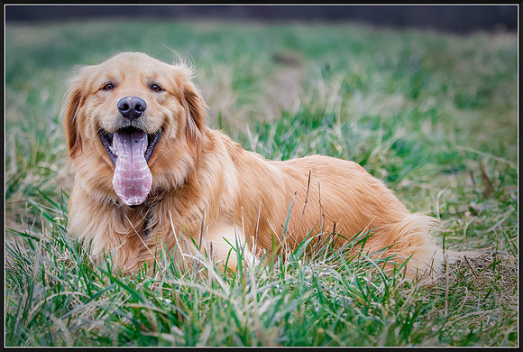 _DSF3311-RAF_DxO_DeepPRIME-Edit-Edit-2