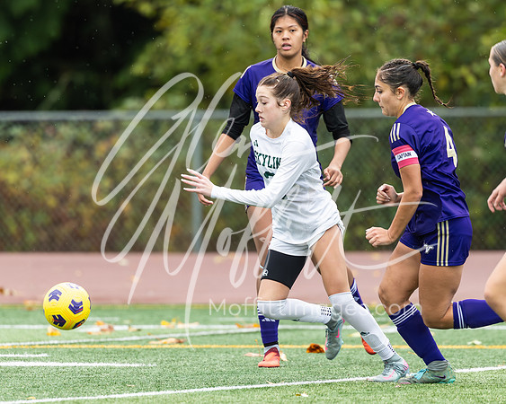 Skyline at Lake Stevens Soccer Dist1873 Playoff 2025-11-01_