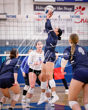 Bellevue at ECC Volleyball ECC 2025-11-05_1477
