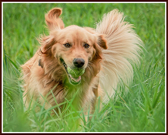 _DSF2054-RAF_DxO_DeepPRIMEXD-Edit-Edit