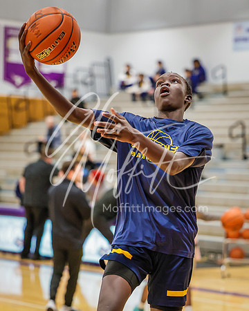 _25A3621