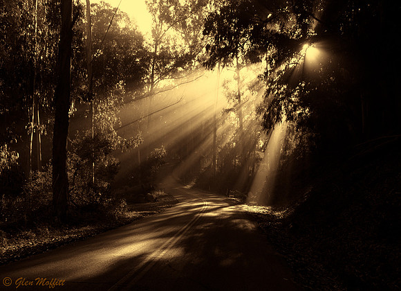 _DSC0145-Edit