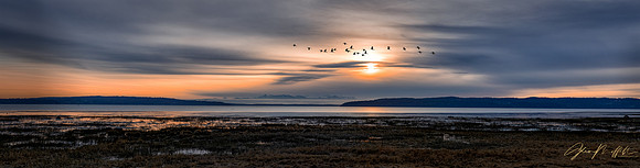 _Y0A4987-Pano-Edit-33pct