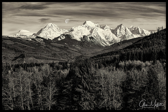 _Q9A4995-Edit