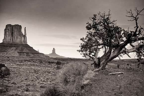 20110218-_DSC0423-Edit