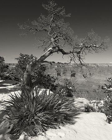 20110222-_DSC0245BW