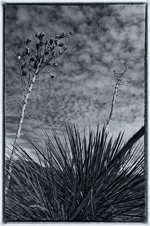 20110221-_DSC0577-Edit