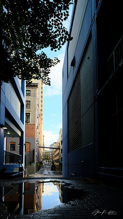 Rain Puddle - Seattle Downtown Alleyway