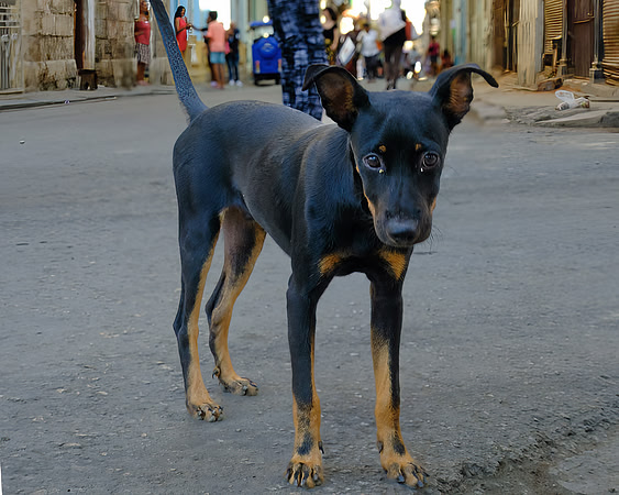 Cuba_2022-13