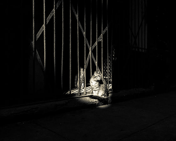 Cuba_2022-21