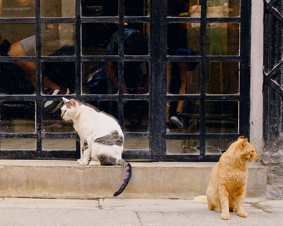 Cuba_2022-54
