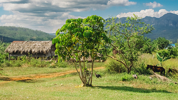 Cuba_2022-123