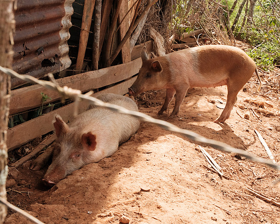 Cuba_2022-126