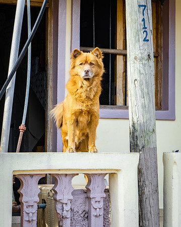 Cuba_2022-156