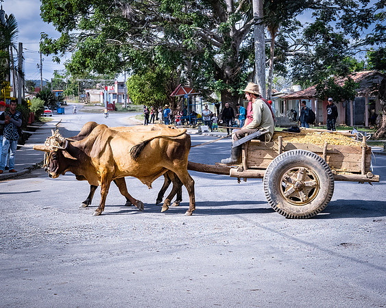 Cuba_2022-162