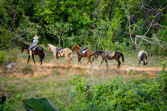 Cuba_2022-179