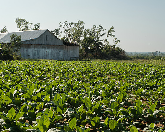 Cuba_2022-193