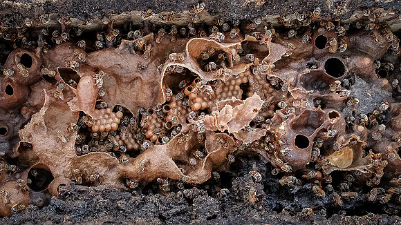 Cuba_2022-219
