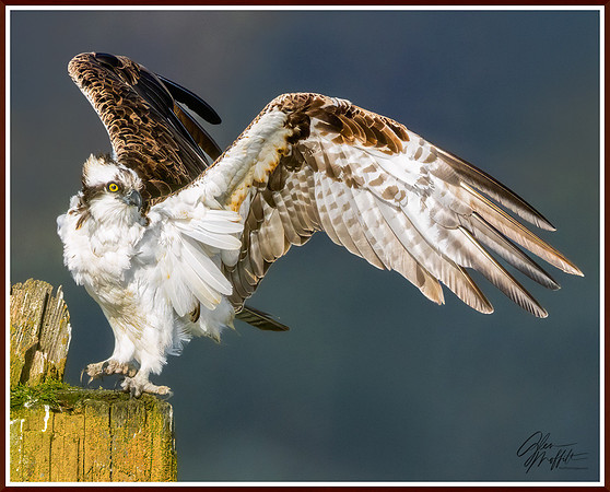 _86A1058-Edit-Edit-Edit