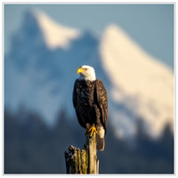 _86A0509-Edit-Edit