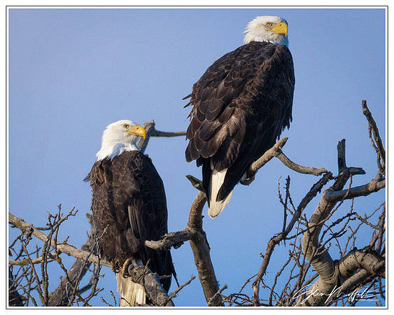 _86A3825-Edit