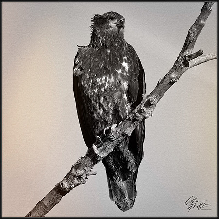 _86A8658-Edit-Edit-Edit