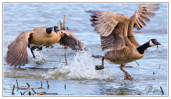 _86A9860-Enhanced-NR-Edit-2-Edit