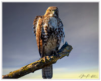 _CW_2668-Edit-Edit-Edit