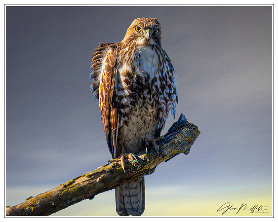 _CW_2668-Edit-Edit-Edit