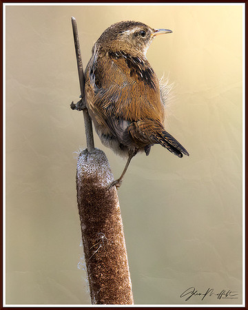 _CW_5907-Edit-Edit-2