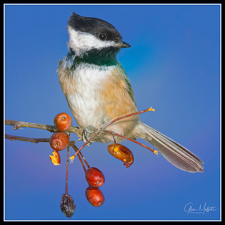 _CW_8532-Edit-Edit-Edit