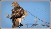_CW_8863-Edit-Edit