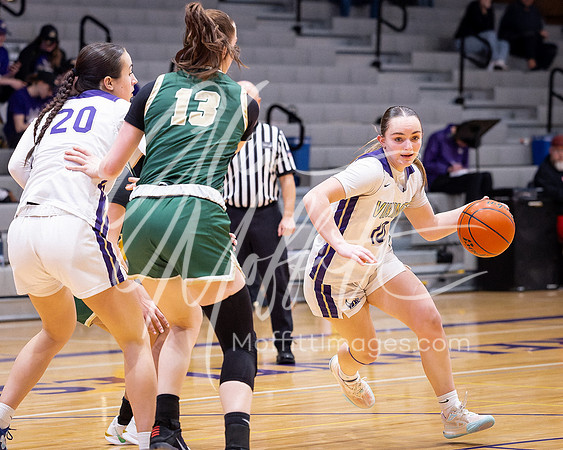 202-02-18 Redmond at Lake Stevens Girls BB Playoff_3995-20250218-DxO_DeepPRIME XD2s