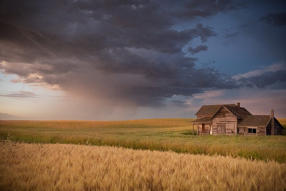 08-2022-palouse-gdm--13_52606771292_o