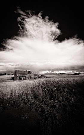 08-2022-palouse-gdm-2_52606772667_o