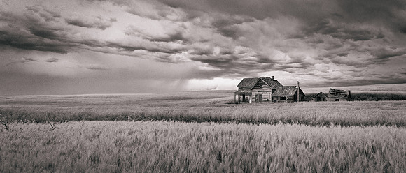 08-2022-palouse-gdm--7_52607274216_o