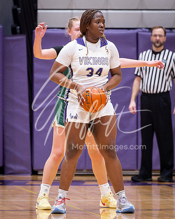 202-02-18 Redmond at Lake Stevens Girls BB Playoff_3048-20250218-DxO_DeepPRIME XD2s