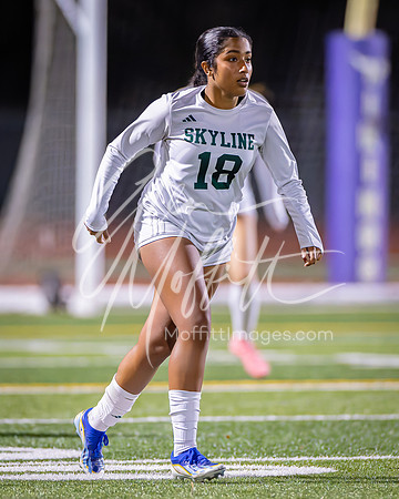 11-06-24 Skyline at LS Grls Soccer Playoff_1267