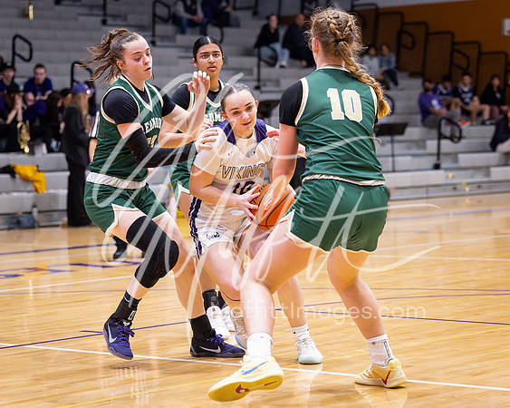 202-02-18 Redmond at Lake Stevens Girls BB Playoff_4008-20250218-DxO_DeepPRIME XD2s