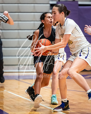 DxO_DeepPRIMEXD_vnn_20240119_Lake_Stevens_vs_Kamiak_girls_jv_Basketball_2196-CR3