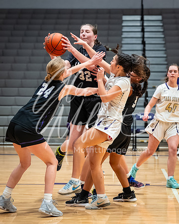 DxO_DeepPRIMEXD_vnn_20240119_Lake_Stevens_vs_Kamiak_girls_jv_Basketball_2329-CR3