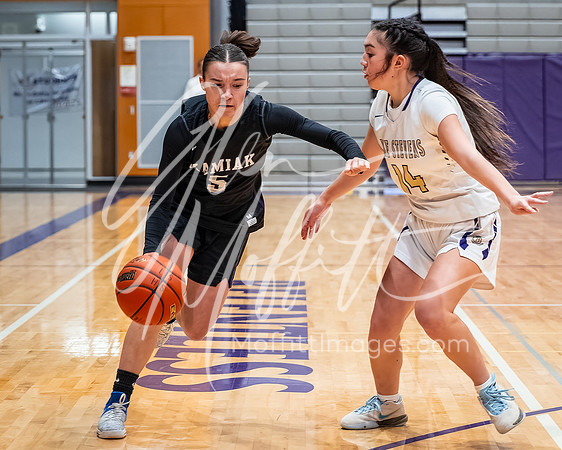 DxO_DeepPRIMEXD_vnn_20240119_Lake_Stevens_vs_Kamiak_girls_jv_Basketball_2432-CR3