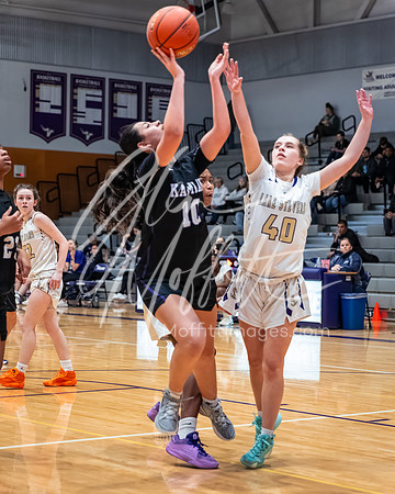 DxO_DeepPRIMEXD_vnn_20240119_Lake_Stevens_vs_Kamiak_girls_jv_Basketball_2669-CR3
