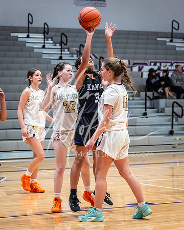 DxO_DeepPRIMEXD_vnn_20240119_Lake_Stevens_vs_Kamiak_girls_jv_Basketball_2734-CR3
