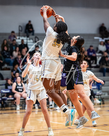 DxO_DeepPRIMEXD_vnn_20240119_Lake_Stevens_vs_Kamiak_girls_jv_Basketball_3029-CR3