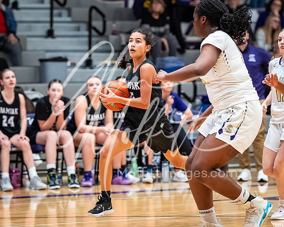 DxO_DeepPRIMEXD_vnn_20240119_Lake_Stevens_vs_Kamiak_girls_jv_Basketball_3067-CR3