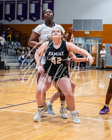 DxO_DeepPRIMEXD_vnn_20240119_Lake_Stevens_vs_Kamiak_girls_jv_Basketball_3462-CR3