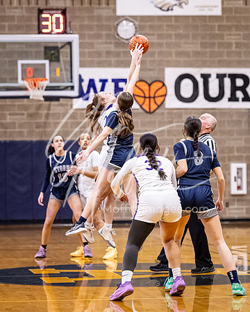 DP3_VNN_20240223_Lake_Stevens_v_skyview_Girls_state_BB_0001-CR3