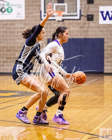 DP3_VNN_20240223_Lake_Stevens_v_skyview_Girls_state_BB_0005-CR3